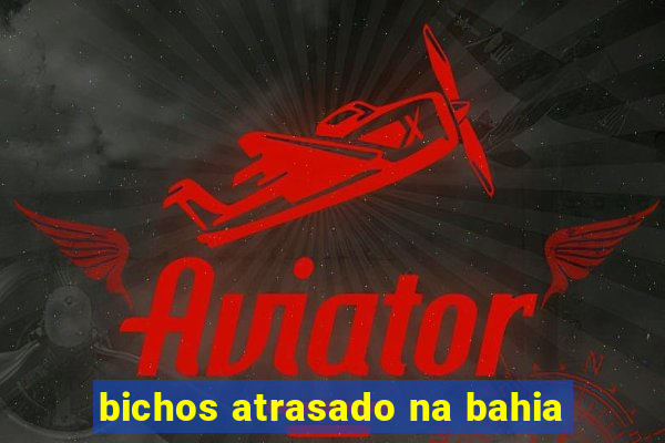 bichos atrasado na bahia