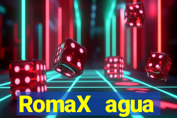 RomaX agua sanitaria fispq agua sanitaria romax