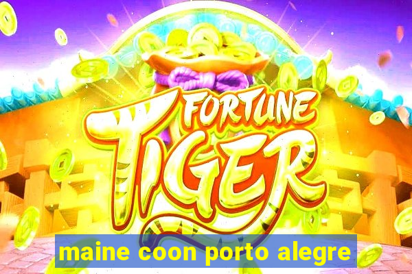 maine coon porto alegre