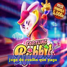 jogo do coelho que paga