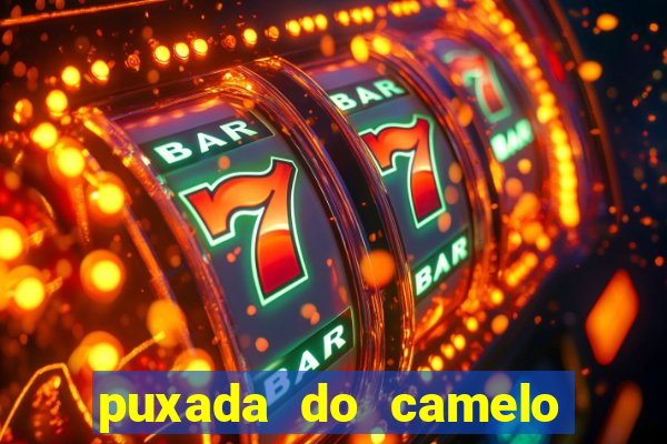 puxada do camelo jogo do bicho