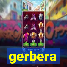 gerbera-dh.com