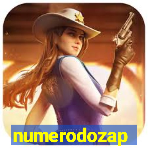 numerodozap