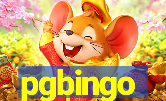 pgbingo