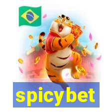 spicybet-4.com