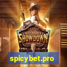 spicybet.pro