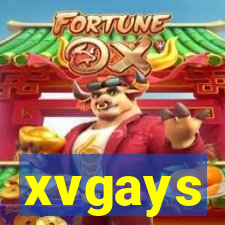 xvgays