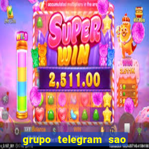 grupo telegram sao jose do rio preto