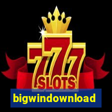 bigwindownload