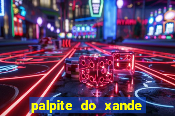 palpite do xande de hoje