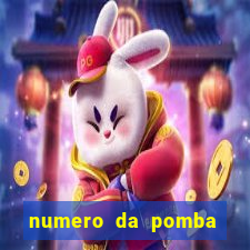 numero da pomba jogo do bicho