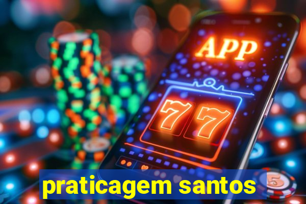 praticagem santos