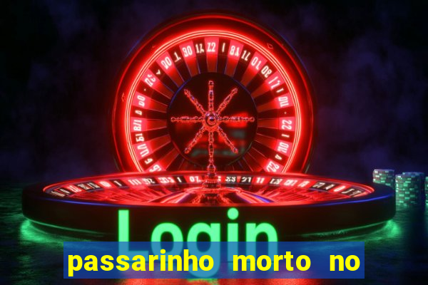 passarinho morto no quintal significado espiritual